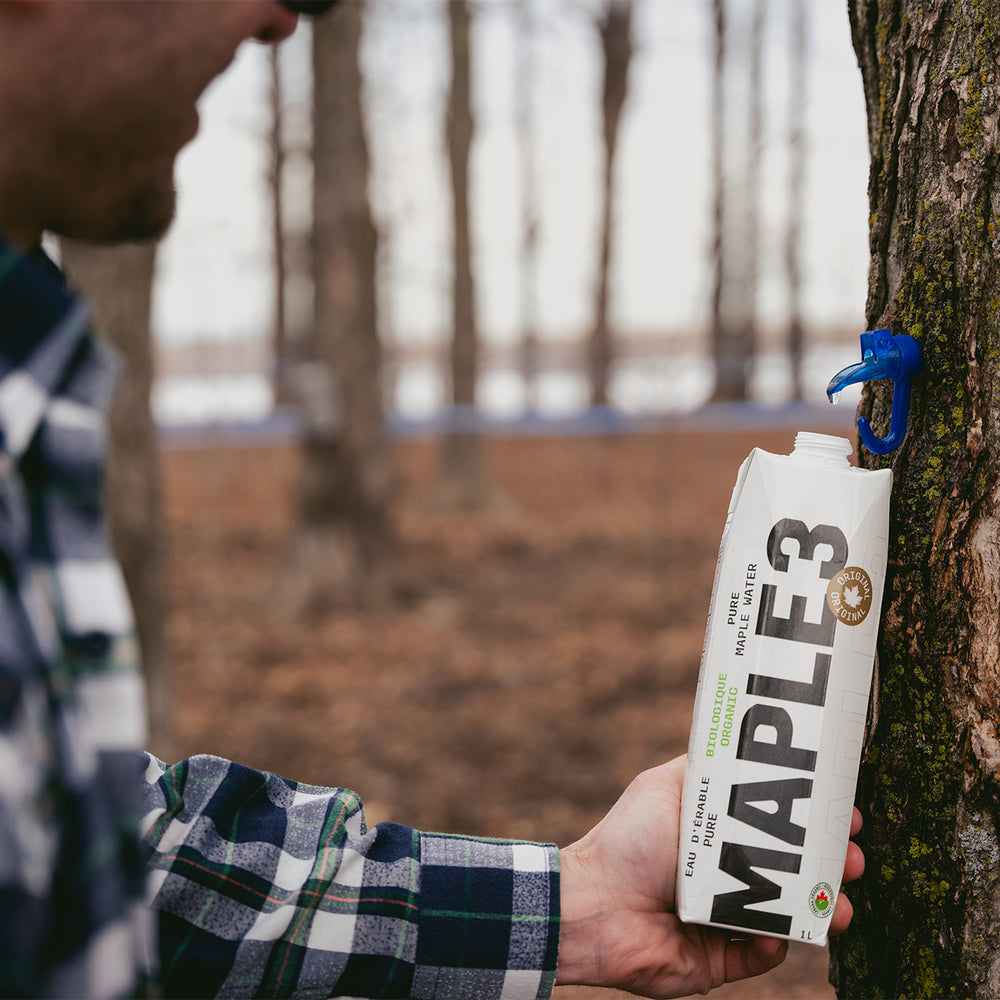 6 Impressive Health Benefits Of Maple Water
