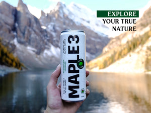 
                  
                    Lime Sparkling Organic Maple Water - 355ML
                  
                