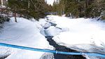 Maple water flowing in the tubes network as a result of the warmer temperatures of the spring season.
