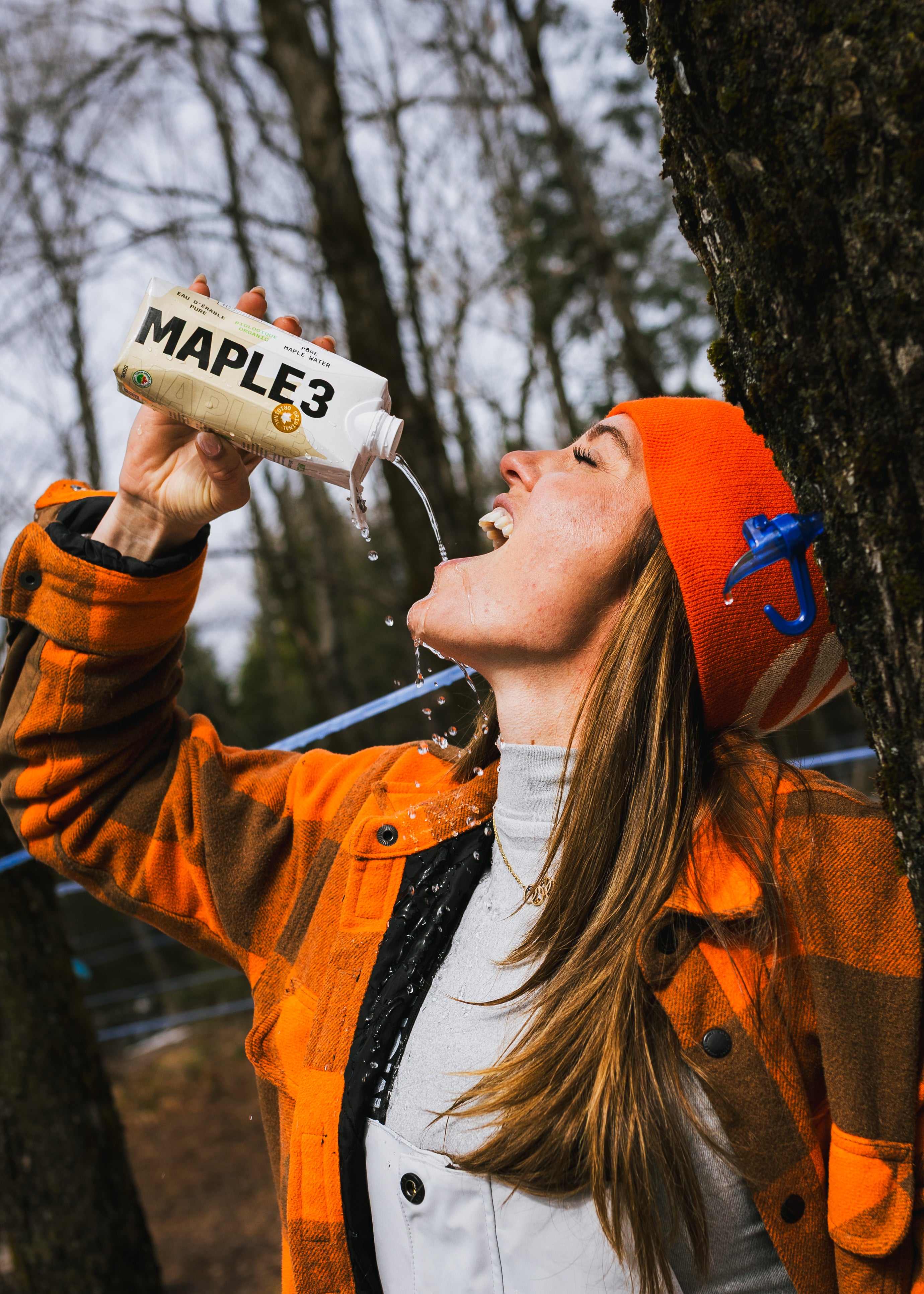 Eau d'érable pure Maple 3 à l'érablière